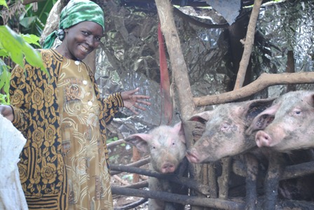 Let’s do Business – The Kamuthi Success Stories